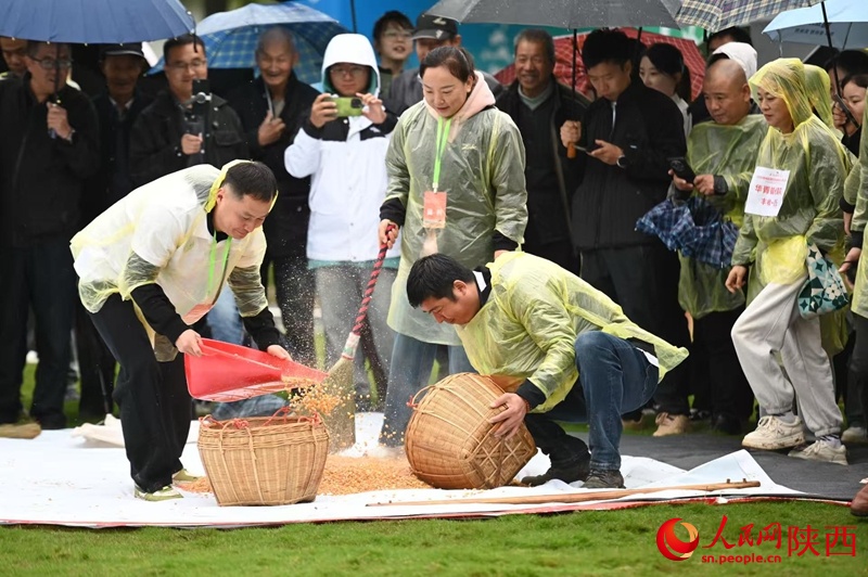 地说, 比赛, 活动采用