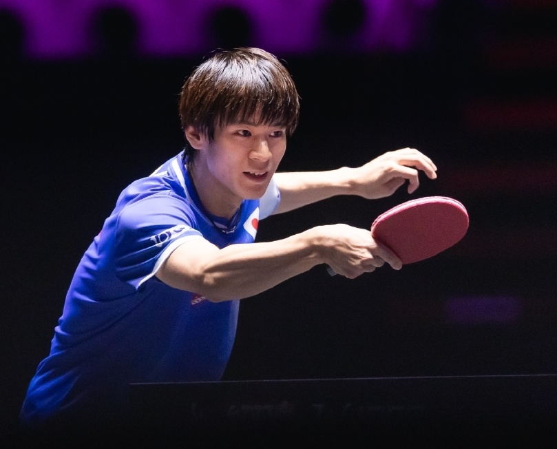 xSnaB, 向鹏出击, 综上 xSnaB, 向鹏出击, 综上